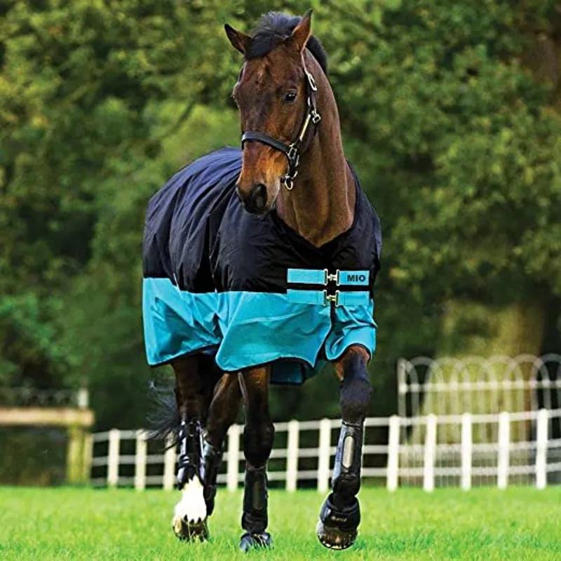 Horseware Amigo Mio Lite Turnout Rug - Black/Turquoise/Black